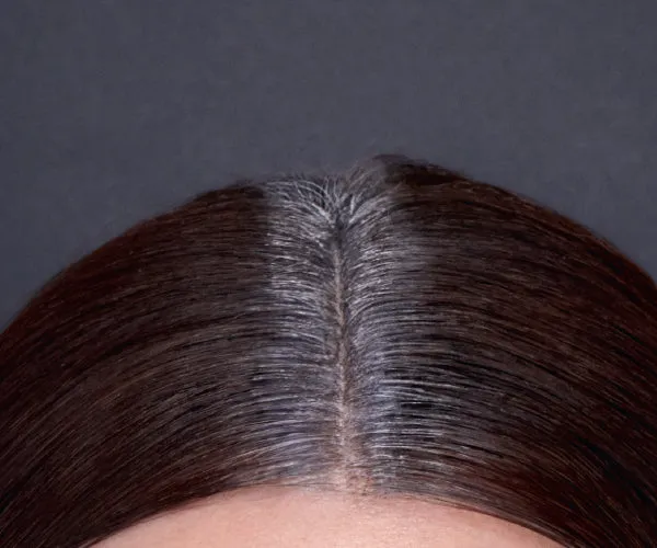 Hair Touch Up - Light Brown