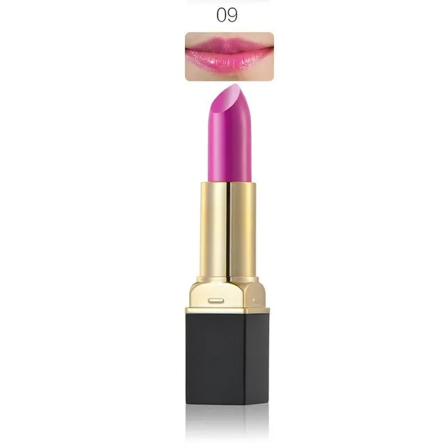 HUAMIANLI Brand Purple Red 12 Colors Matte Lipstick Makeup Moisturizing Lip Balm Lip Stick Waterproof Lipgloss Cosmetics #229191