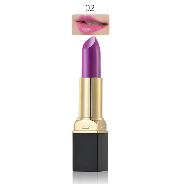 HUAMIANLI Brand Purple Red 12 Colors Matte Lipstick Makeup Moisturizing Lip Balm Lip Stick Waterproof Lipgloss Cosmetics #229191