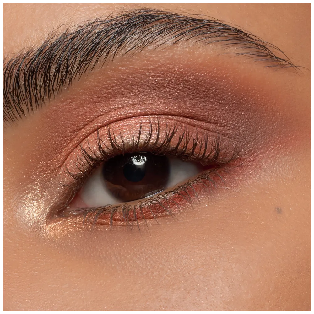 Protect Your Energy Mini Eyeshadow Palette